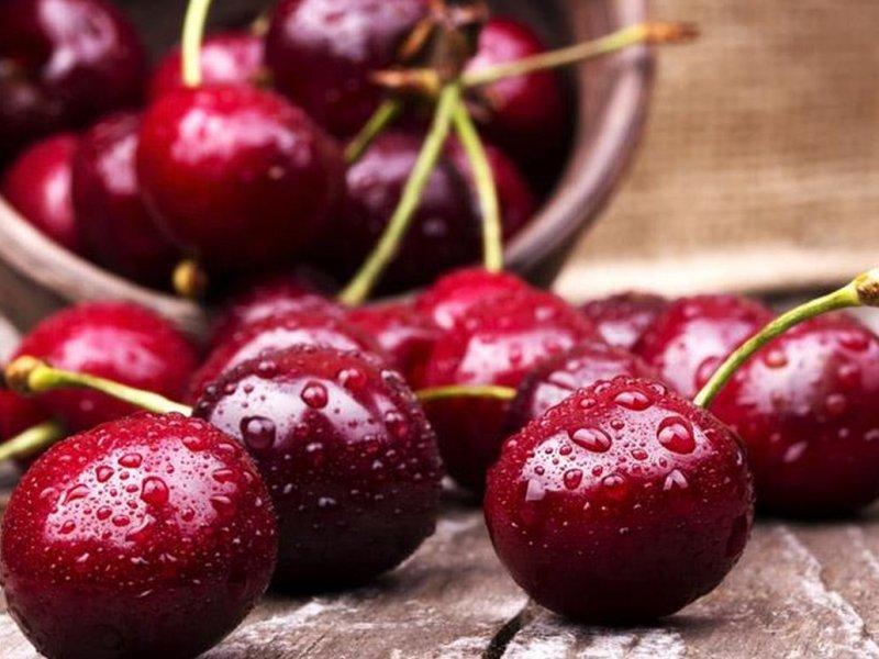 Вишня купить саженцы из питомника в Элисте